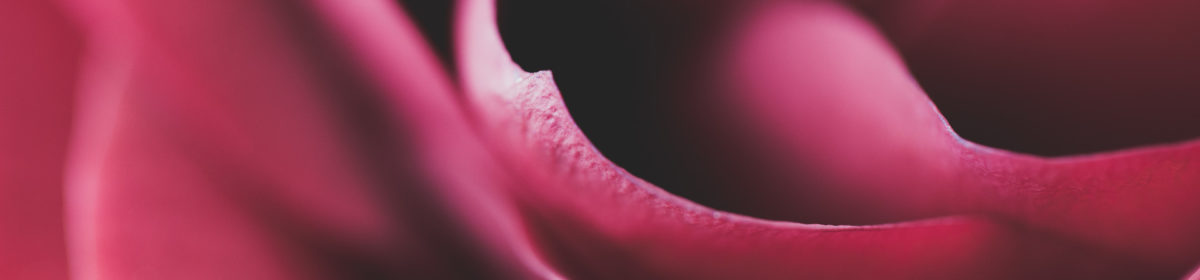Camilla Bertuzzi Photography